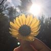 chey_2360